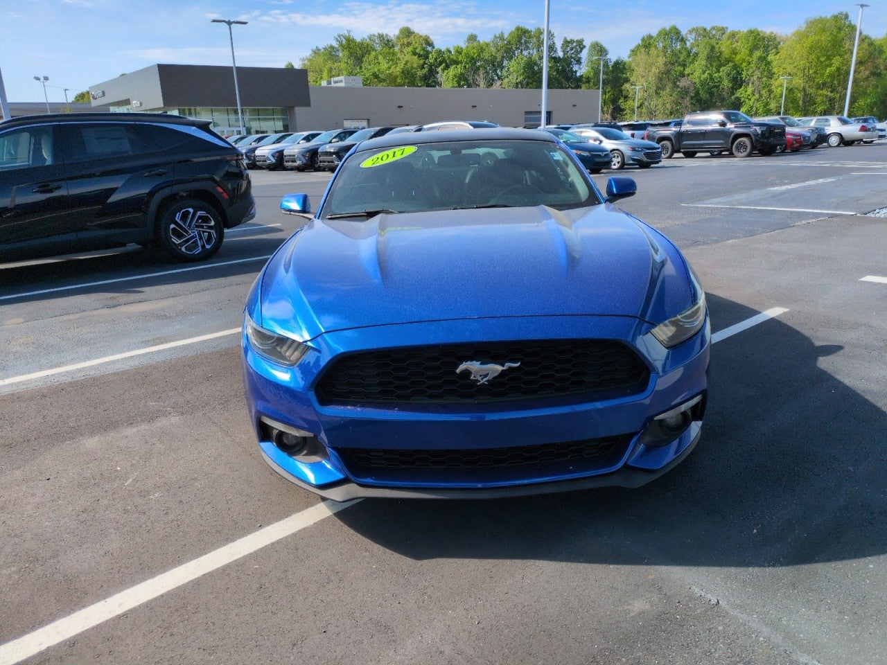 Used 2017 Ford Mustang EcoBoost Premium with VIN 1FA6P8TH4H5249282 for sale in High Point, NC