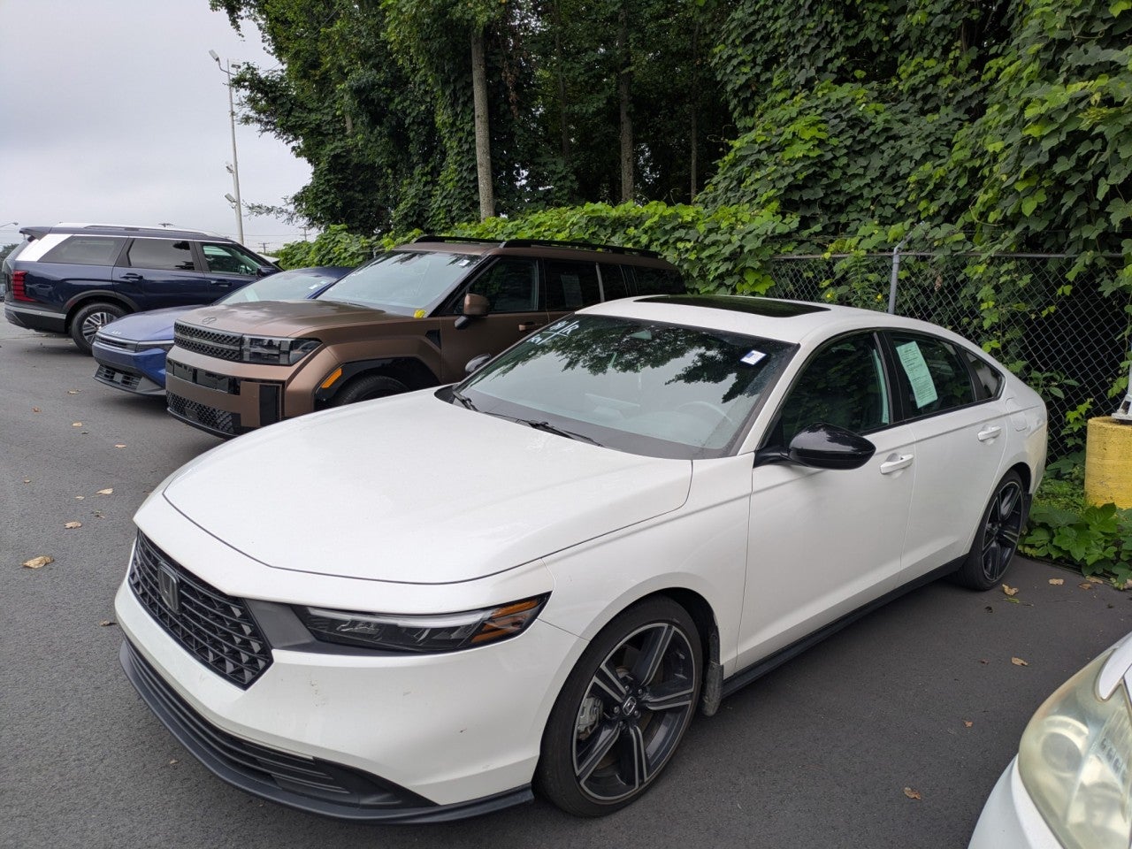2025 Honda Accord Hybrid Sport
