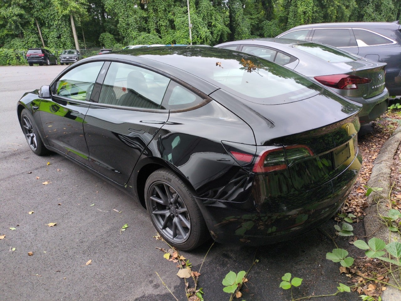 2023 Tesla Model 3 RWD