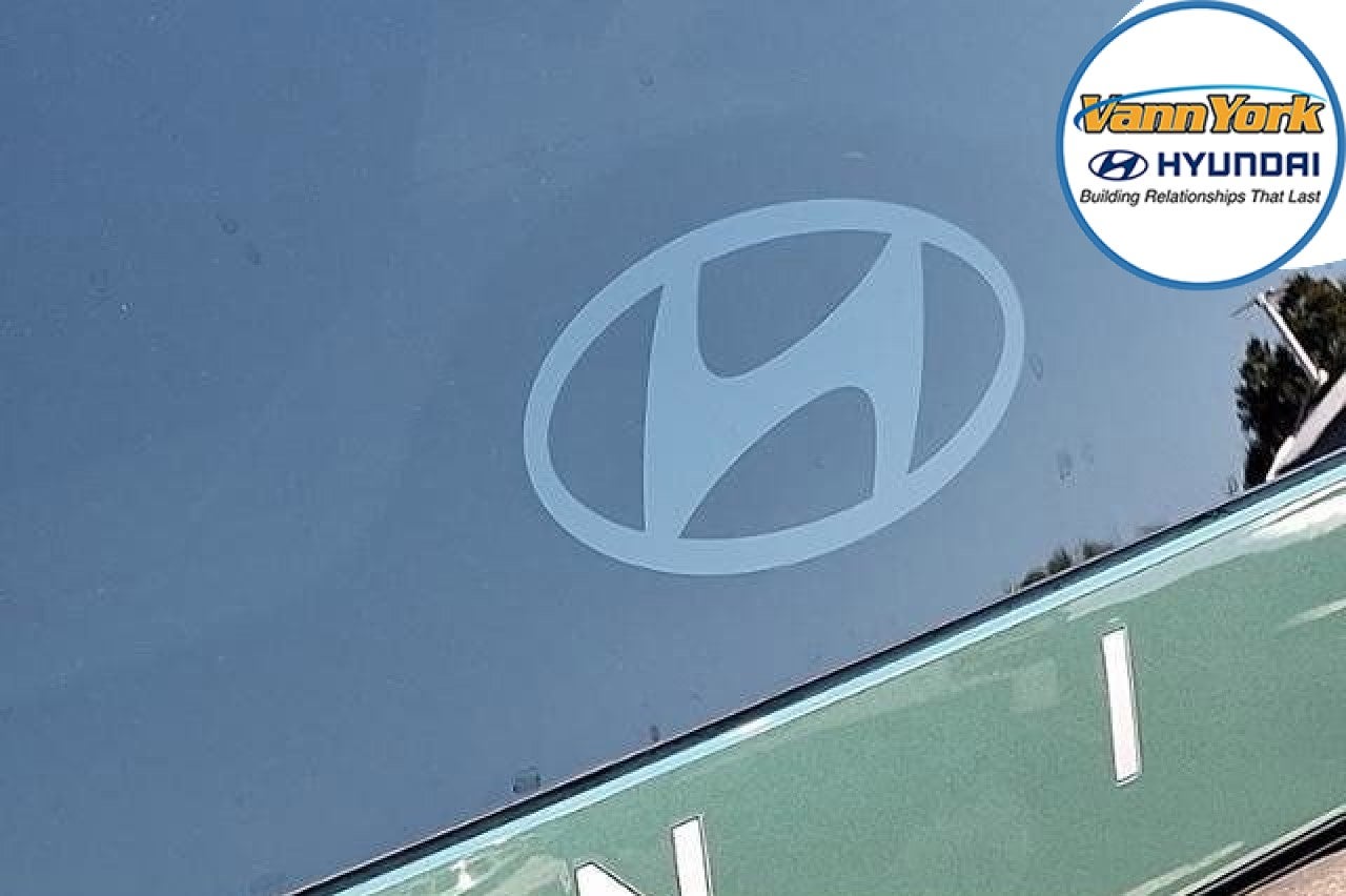 2026 Hyundai IONIQ 9 Performance Calligraphy