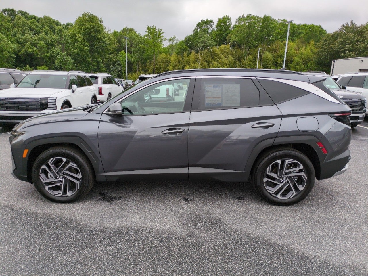 2025 Hyundai TUCSON HYBRID Limited